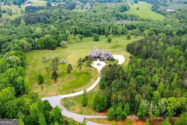 1101 N Flat Rock Rd, Douglasville, GA 30134 - birds eye view of property featuring a view of trees