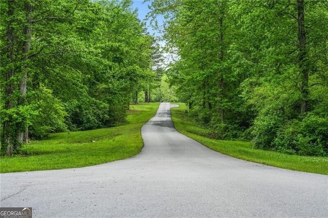 1101 N Flat Rock Rd, Douglasville, GA 30134 - view of community featuring a view of trees