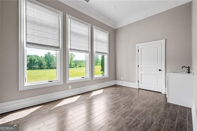 1101 N Flat Rock Rd, Douglasville, GA 30134 - empty room with crown molding, baseboards, a sink, and dark wood-type flooring