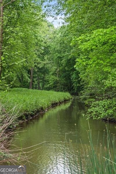 1101 N Flat Rock Rd, Douglasville, GA 30134 - view of water feature featuring a view of trees