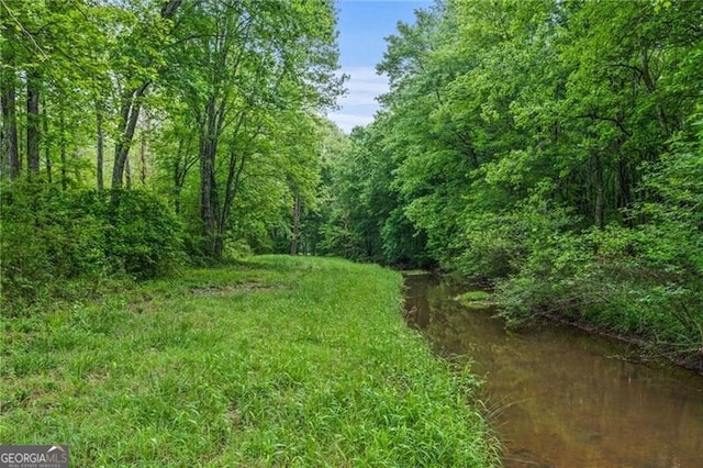1101 N Flat Rock Rd, Douglasville, GA 30134 - view of nature with a view of trees