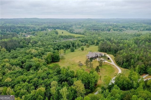 1101 N Flat Rock Rd, Douglasville, GA 30134 - bird's eye view featuring a forest view