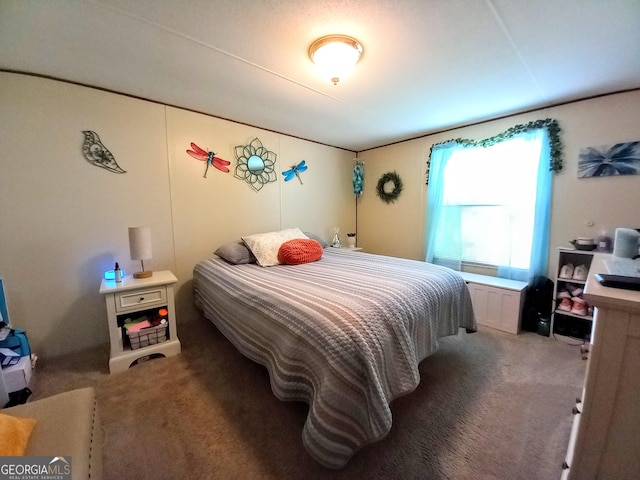 328 Kelly Creek Rd, Waco, GA 30182 - view of carpeted bedroom