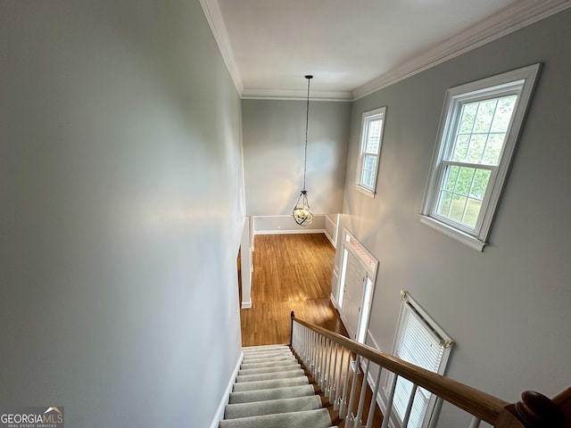 23 Saint Ives Ln, Winder, GA 30680 - staircase featuring baseboards, ornamental molding, and wood finished floors