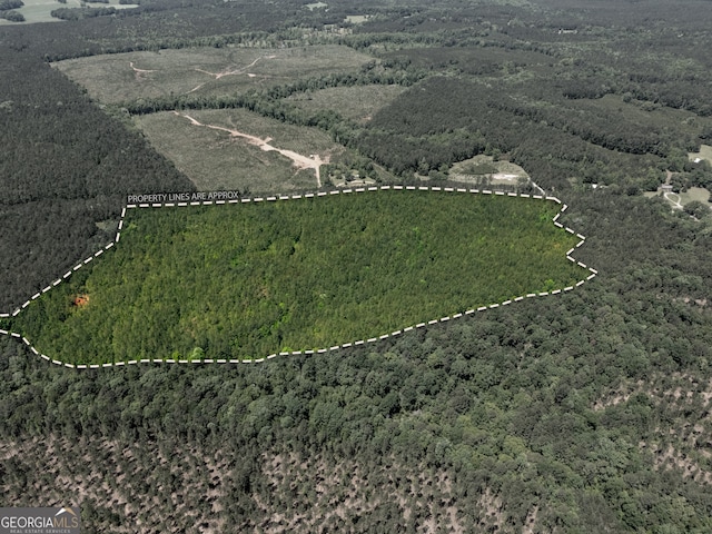 3678 Lundberg Rd, Washington, GA 30673