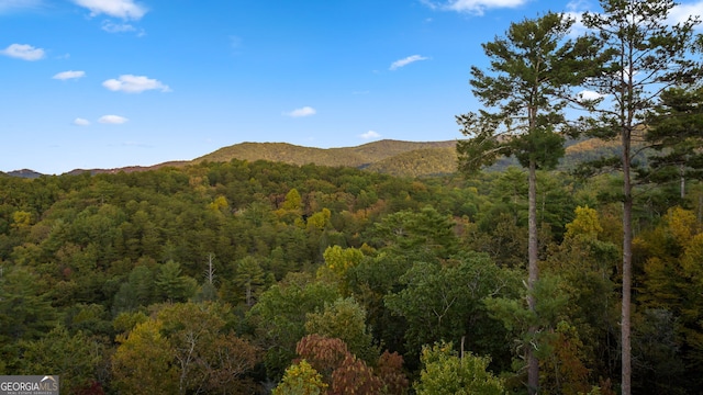 709 Laurel Creek Trl, Blue Ridge, GA 30513 - view of mountain feature featuring a forest view
