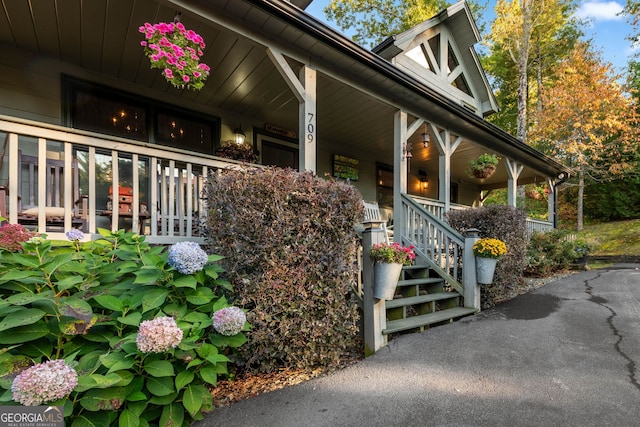 709 Laurel Creek Trl, Blue Ridge, GA 30513 - view of side of home featuring covered porch