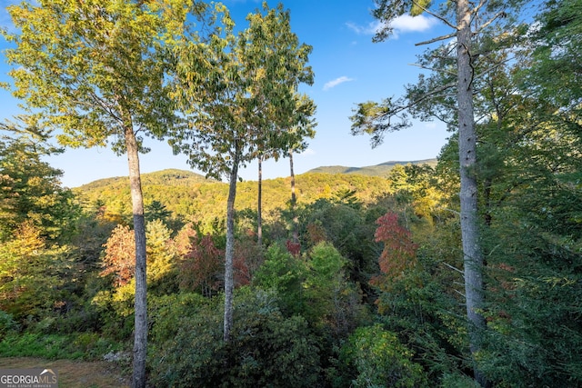709 Laurel Creek Trl, Blue Ridge, GA 30513 - mountain view featuring a wooded view