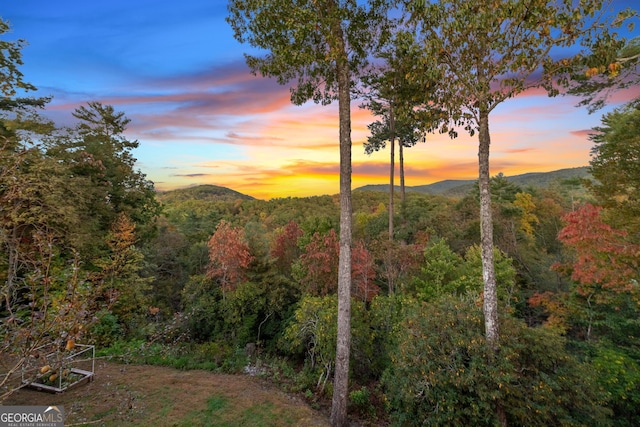 709 Laurel Creek Trl, Blue Ridge, GA 30513 - property view of mountains featuring a forest view