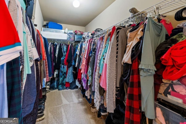 walk in closet featuring carpet flooring