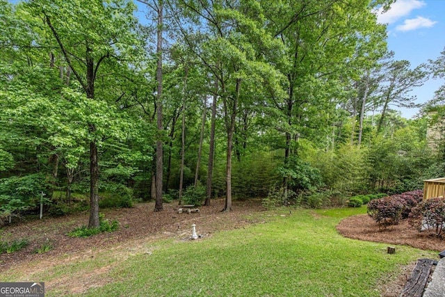 115 Old Ridge Rd, Macon, GA 31211 - view of yard featuring a wooded view