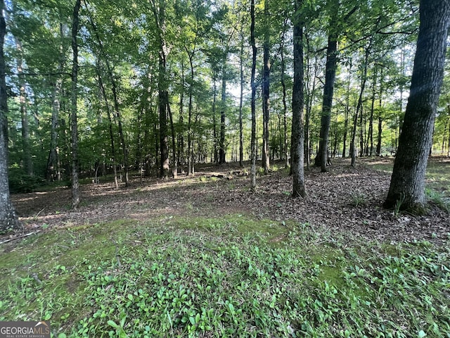 view of nature with a wooded view