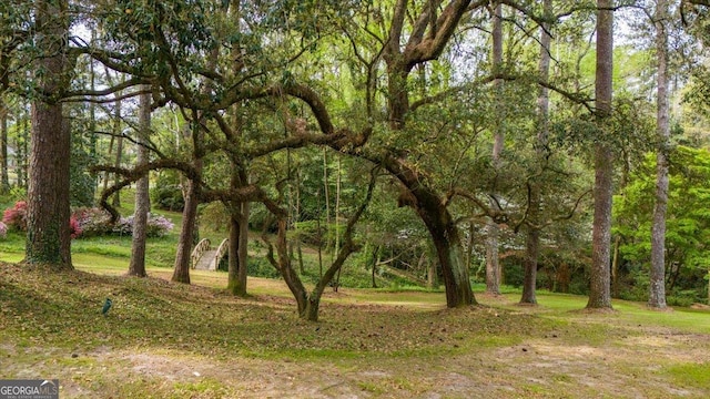 2727 Ingleside Ave, Macon, GA 31204 - view of landscape with a view of trees