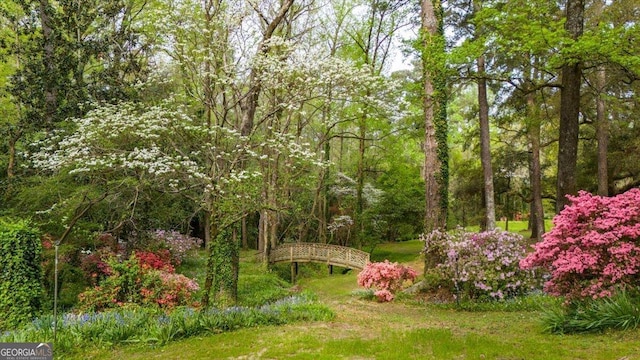 2727 Ingleside Ave, Macon, GA 31204 - view of yard with a wooded view