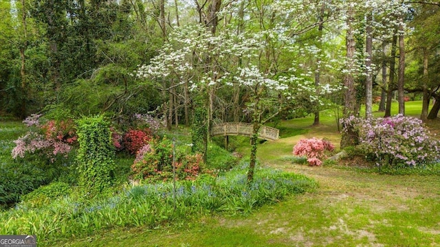 2727 Ingleside Ave, Macon, GA 31204 - view of yard