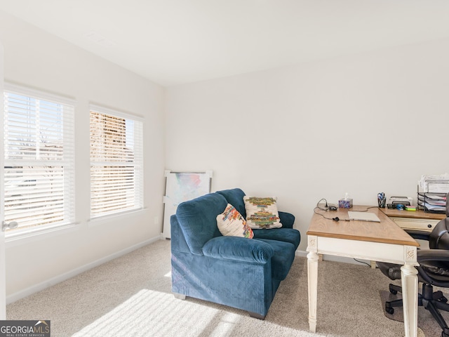 office featuring baseboards and carpet