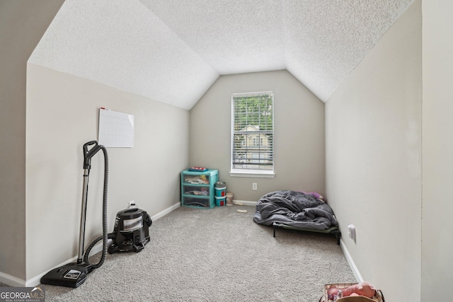 4015 Soaring Dr, Douglasville, GA 30135 - interior space with baseboards, carpet, a textured ceiling, and lofted ceiling