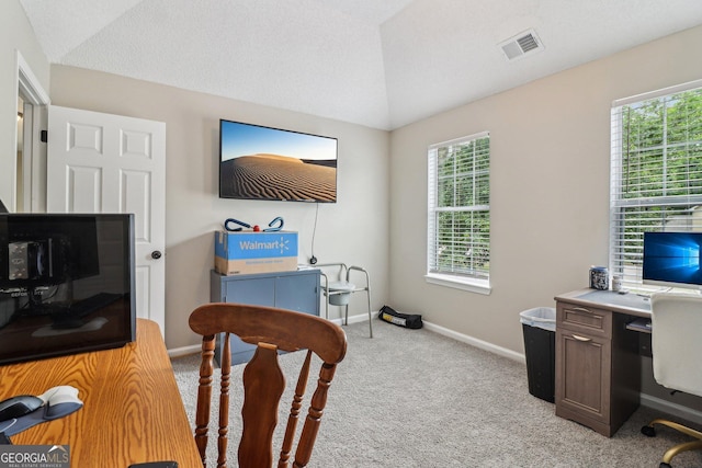 4015 Soaring Dr, Douglasville, GA 30135 - office featuring visible vents, light carpet, lofted ceiling, and plenty of natural light