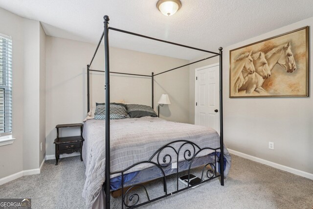 4015 Soaring Dr, Douglasville, GA 30135 - bedroom with baseboards, multiple windows, and carpet flooring