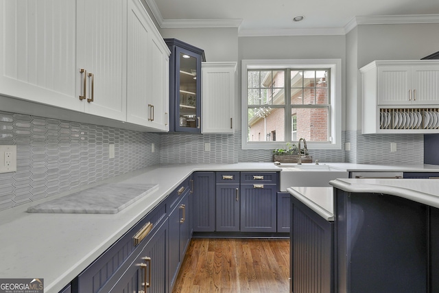 kitchen with tasteful backsplash, wood finished floors, a sink, glass insert cabinets, and white cabinetry