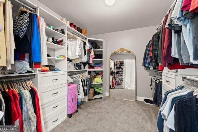 188 Lookout Way, Dallas, GA 30132 - spacious closet featuring light carpet