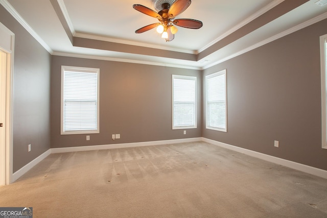 3508 Blue Spruce Ct SW, Gainesville, GA 30504 - unfurnished room with a tray ceiling, light colored carpet, plenty of natural light, and ornamental molding