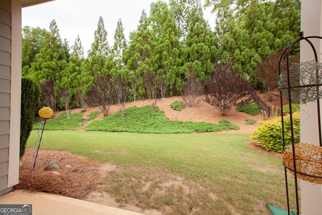 3508 Blue Spruce Ct SW, Gainesville, GA 30504 - view of green lawn