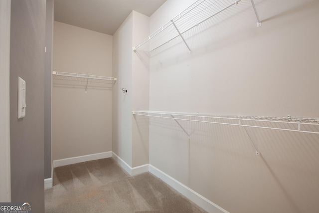 3508 Blue Spruce Ct SW, Gainesville, GA 30504 - spacious closet with carpet