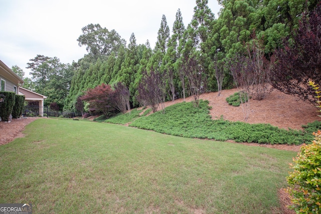 3508 Blue Spruce Ct SW, Gainesville, GA 30504 - view of yard