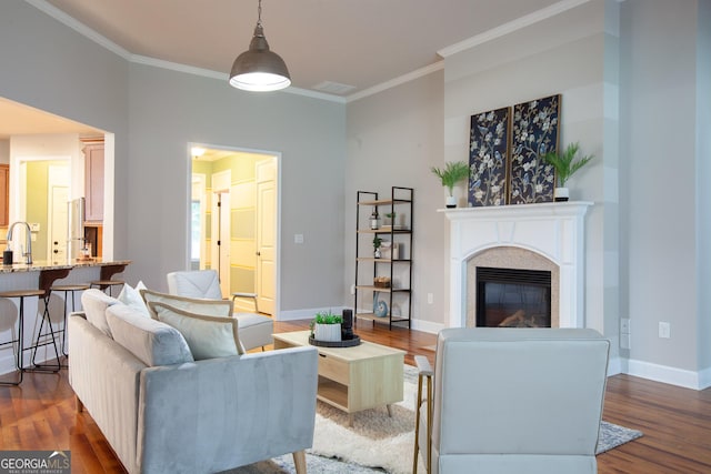 3508 Blue Spruce Ct SW, Gainesville, GA 30504 - living area with dark wood-style floors, ornamental molding, a glass covered fireplace, and baseboards