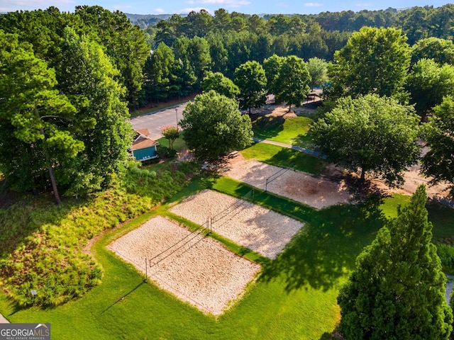 679 Gold Valley Pass, Canton, GA 30114 - drone / aerial view