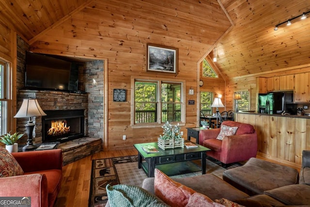 433 Spruce Cir, Mineral Bluff, GA 30559 - living area with wood walls, a healthy amount of sunlight, and wood ceiling