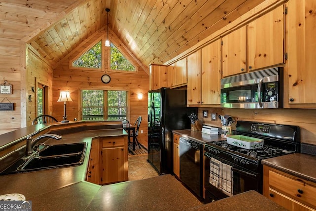 433 Spruce Cir, Mineral Bluff, GA 30559 - kitchen featuring dark countertops, wooden walls, black appliances, a sink, and vaulted ceiling