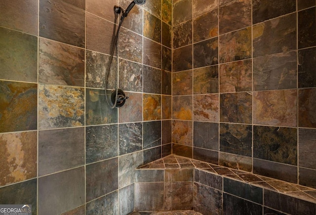 433 Spruce Cir, Mineral Bluff, GA 30559 - room details with tiled shower
