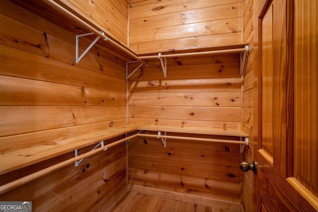 433 Spruce Cir, Mineral Bluff, GA 30559 - view of spacious closet