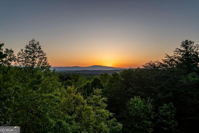433 Spruce Cir, Mineral Bluff, GA 30559 - mountain view with a view of trees