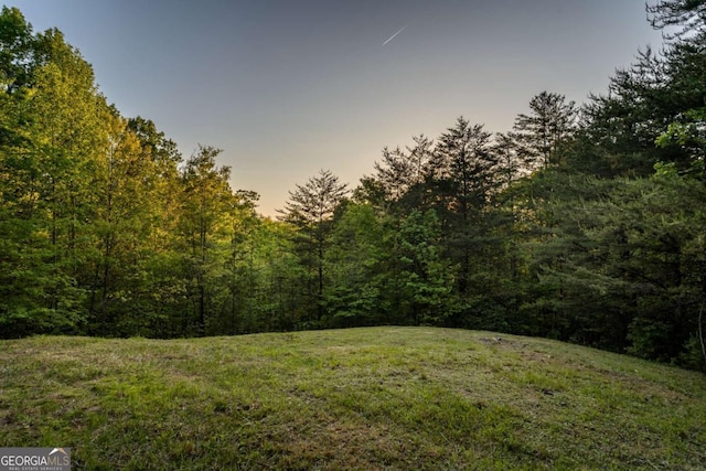 433 Spruce Cir, Mineral Bluff, GA 30559 - view of landscape with a view of trees