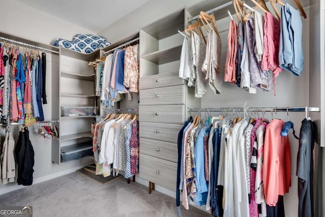 spacious closet with carpet