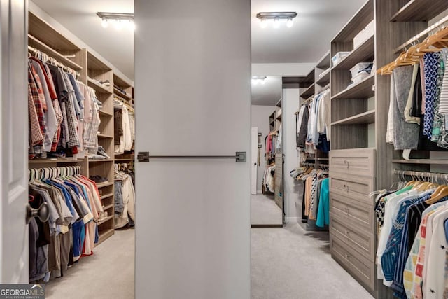 walk in closet with carpet flooring