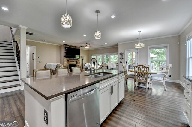 6413 Maple Park Ln, Hoschton, GA 30548 - kitchen featuring crown molding, a sink, a fireplace, plenty of natural light, and stainless steel dishwasher