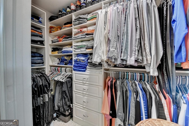 6413 Maple Park Ln, Hoschton, GA 30548 - view of walk in closet