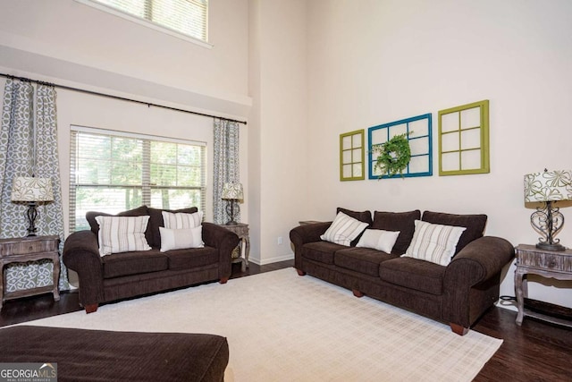 living room with baseboards, a high ceiling, wood finished floors, and a wealth of natural light