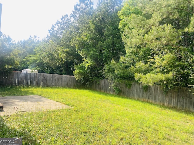 view of yard featuring a fenced backyard and a patio area