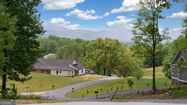 view of mountain feature with a wooded view