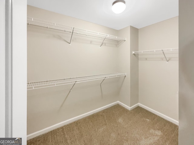 6001 Oak Bend Ct, Riverdale, GA 30296 - walk in closet featuring carpet flooring