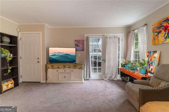 204 Queensbury Ct, Acworth, GA 30102 - living area featuring ornamental molding and light carpet