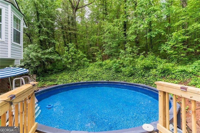 204 Queensbury Ct, Acworth, GA 30102 - pool with a forest view