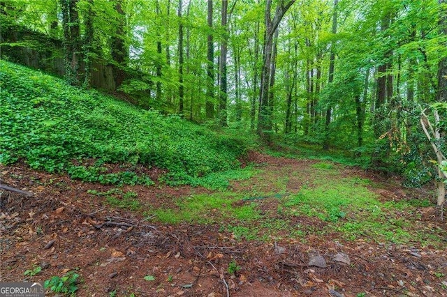204 Queensbury Ct, Acworth, GA 30102 - view of landscape with a view of trees