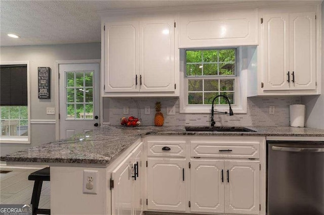 204 Queensbury Ct, Acworth, GA 30102 - kitchen featuring a sink, white cabinetry, dishwasher, and decorative backsplash