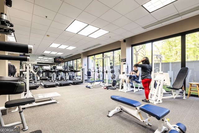 2660 Peachtree Rd Unit 7F, Atlanta, GA 30305 - gym with plenty of natural light, carpet floors, and a drop ceiling